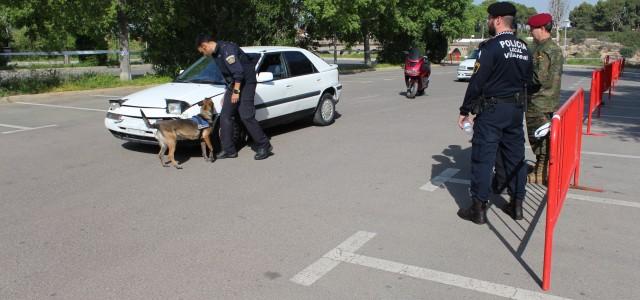 El II Campionat Nacional de Gossos Detectors de Substàncies porta una quinzena d’unitats canines