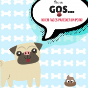 ‘Sóc un gos… no em faces paréixer un porc’, la innovadora campanya d’UCOVI i Globalis per a mantenir ‘Vila-real + neta’