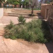 Vila-real realitza tasques de neteja dels parcs pròxims a centres eductius