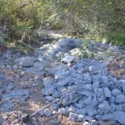 Un vessament il·legal de fangs i fem de 300 metres amenaça la Desembocadura del Millars en el terme municipal de Vila-real