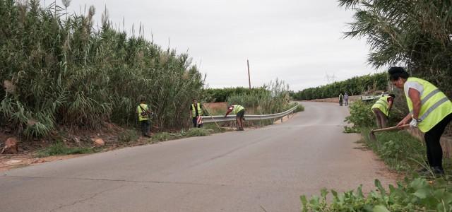 SPV neteja i condiciona les cunetes, barrancs, camins rurals i solars municipals del terme
