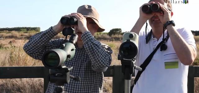 Augmenta el turisme ornitològic al Paisatge Protegit de la Desembocadura del Millars 