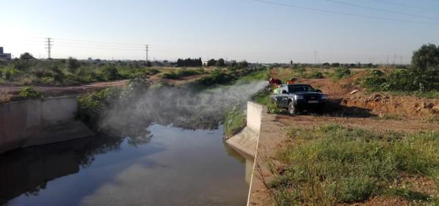 Vila-real ataca el repunt de mosquits en zones humides i vegetació i exigeix a Diputació que es responsabilitze