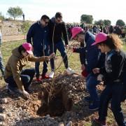 200 alumnes dels col·legis Hortolans i La Panderola planten 50 oms pel dia de l’Arbre a la Desembocadura del Millars