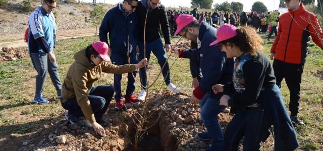 200 alumnes dels col·legis Hortolans i La Panderola planten 50 oms pel dia de l’Arbre a la Desembocadura del Millars