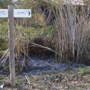 Incendi forestal crema 150 m² de vegetació al Paisatge Protegit del Millars en la zona dels camins de l’aigua