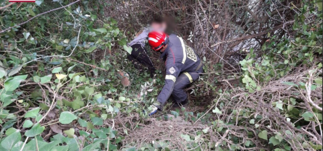 Cau un menor a una zona de vegetació del riu Millars a Vila-real mentre circulava amb bici