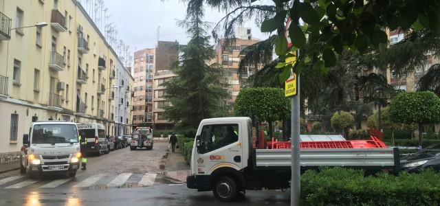 La Policia Local retira vehicles dels voltants de la Glorieta 20 de Febrer pel perill de caiguda d’arbres