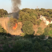 Incendi de vegetació en un canyar de l’Assut del riu Millars de l’Ermita de Vila-real