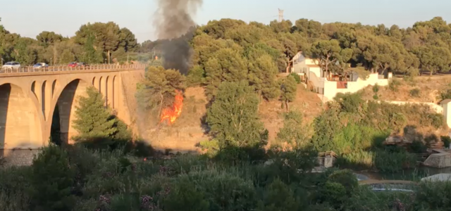 Incendi de vegetació en un canyar de l’Assut del riu Millars de l’Ermita de Vila-real