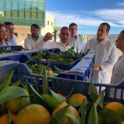 El PPCS mostra el seu suport al sector citrícola i als agricultors de Vila-real amb la visita a Real Export