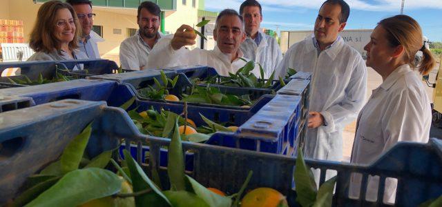 El PPCS mostra el seu suport al sector citrícola i als agricultors de Vila-real amb la visita a Real Export