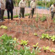 30 persones en atur es beneficiaran dels tallers d’ocupació en atenció sociosanitària, agricultura i jardineria