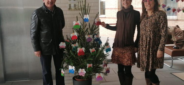 Vila-real reparteix arbres de Nadal en 15 col·legis per a promoure reforestació i cura del medi ambient 