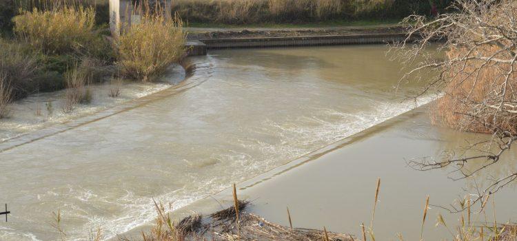 La borrasca ‘Glòria’ permet a la Desembocadura del Millars recuperar el seu cabal