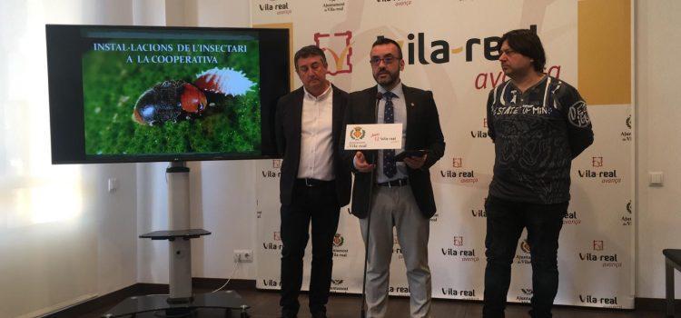 Vila-real i Cooperativa Catòlic Agrària impulsen una ‘granja’ d’insectes per a controlar plagues en cítrics