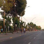 Vila-real renovarà el sistema de pilones del carril bici al carrer Ermita a prova de danys causats per vehicles