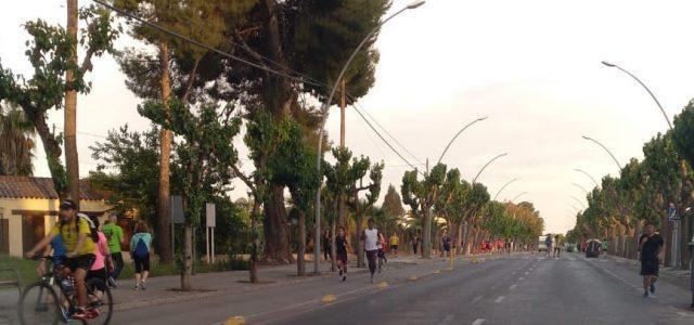 Vila-real renovarà el sistema de pilones del carril bici al carrer Ermita a prova de danys causats per vehicles