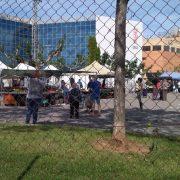 Èxit del primer dissabte de mercat de la fruita en la seua nova ubicació a Vila-real durant la crisi sanitària