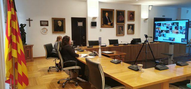 Presenten les mesures anti-Covid al Consell de Participació Ciutadana