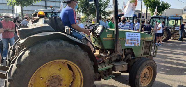 Decenes de cotxes i tractors marxen cap a Castelló per la defensa de l’agricultura i denunciar el cotonet