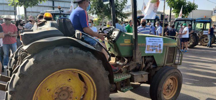 Decenes de cotxes i tractors marxen cap a Castelló per la defensa de l’agricultura i denunciar el cotonet