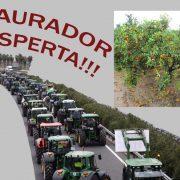 Els Llauradors de Vila-real convoquen als agricultors a una concentració de protesta fins a Castelló