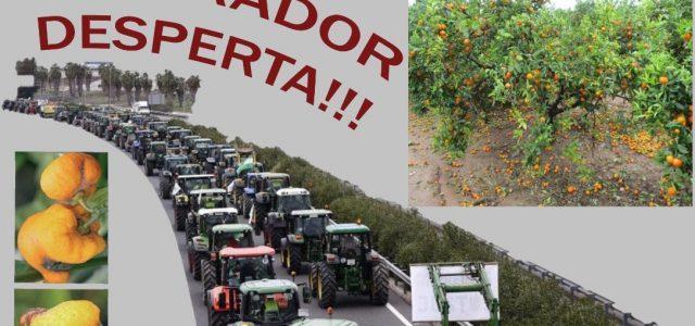 Els Llauradors de Vila-real convoquen als agricultors a una concentració de protesta fins a Castelló