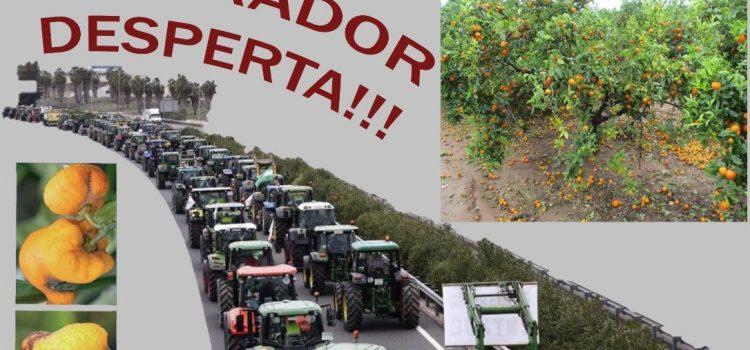 Els Llauradors de Vila-real convoquen als agricultors a una concentració de protesta fins a Castelló