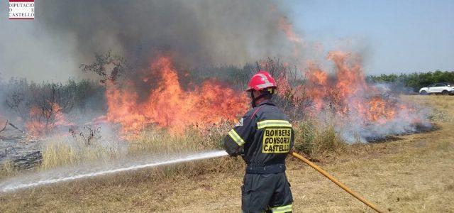 S’incendia un cultiu abandonat a Vila-real