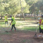 Condicionament del Termet i lluita contra l’atur, l’aposta de Vila-real en el seu Pla de Xoc