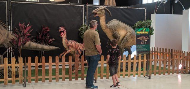 Ja es pot gaudir de ‘Dinosaurs Tour’ en el Centre de Congressos de Vila-real
