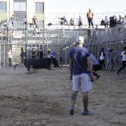 Aforament complet en la represa dels bous al carrer en temps de la Covid-19