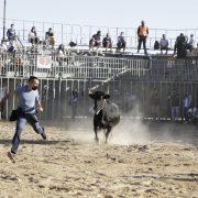 Compromís denuncia que el govern pense en celebrar bous abans de recuperar l’activitat cultural