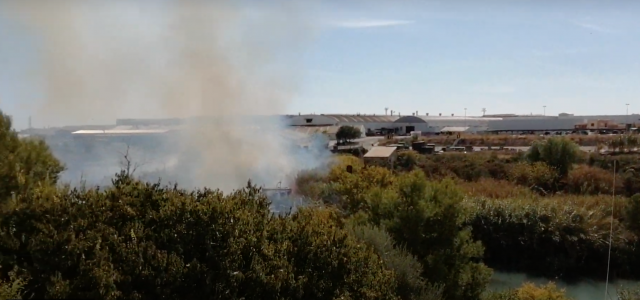 Incendi en una zona de cultiu abandonada en el paratge de Santa Quitéria