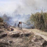 El Consorci gestor de la Desembocadura del Millars lamenta la mort del bomber en l’extinció de l’incendi d’ahir