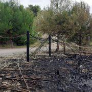 Els incendis a la Desembocadura del Millars cremen pins, canyars i part de l’històric molí del Terraet
