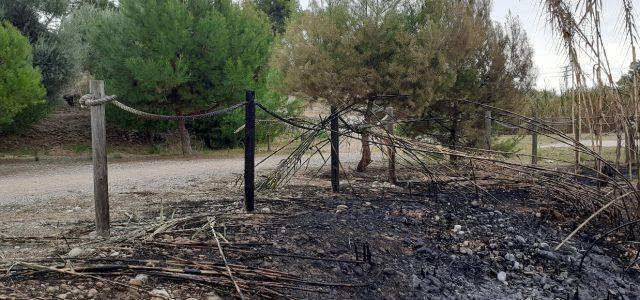 Els incendis a la Desembocadura del Millars cremen pins, canyars i part de l’històric molí del Terraet