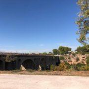 Denuncien enverinaments de gossos en el pont de l’Ermita entre Vila-real i Almassora