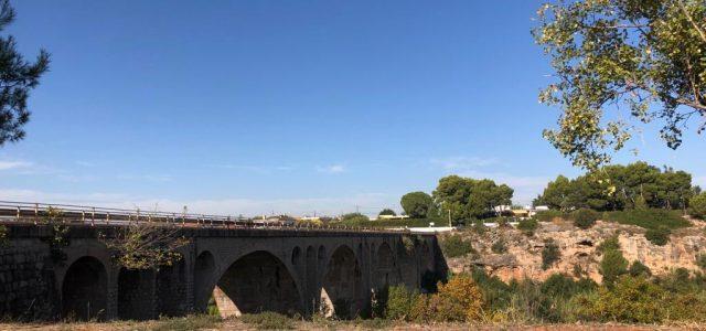 Denuncien enverinaments de gossos en el pont de l’Ermita entre Vila-real i Almassora