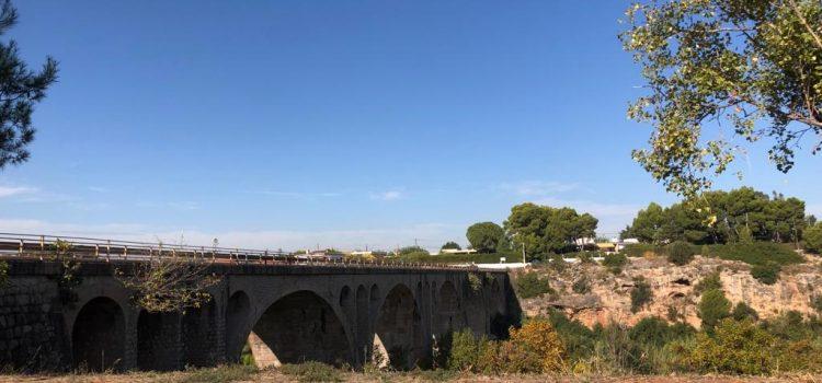 Denuncien enverinaments de gossos en el pont de l’Ermita entre Vila-real i Almassora