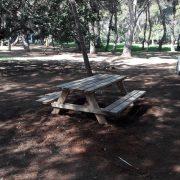 Davant el bon temps i front a la Covid, més taules per a gaudir d’un pícnic al Pinar del Termet