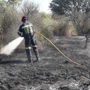 Incendi en una zona de cultiu abandonada al terme de Vila-real