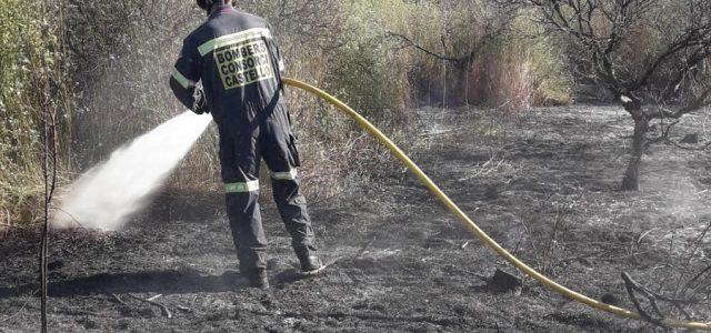 Incendi en una zona de cultiu abandonada al terme de Vila-real