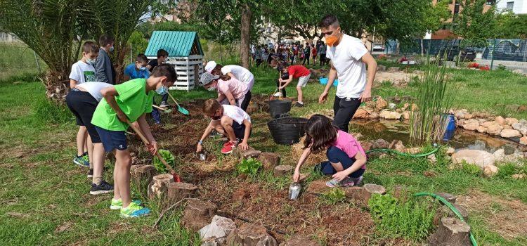 El projecte d’aprenentatge Aula Viva Naturalment compta amb la participació d’un total de 572 xiquets de Vila-real