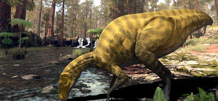El Grup Guix de Vila-real: artífexs del descobriment del nou dinosaure en Portell
