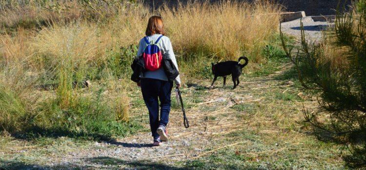 El Consorci del riu Millars adverteix de la prohibició de passejar amb gossos solts