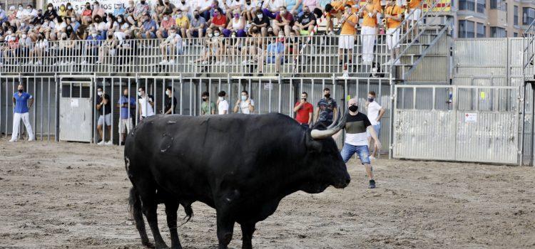 Un bou va trencar una canonada de gas en els actes taurins d’ahir a Vila-real