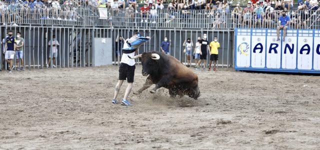 Vila-real clausura els espectacles taurins de les festes amb èxit d’assistència a la plaça de bous portàtil