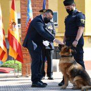 La Policia Local de Vila-real celebra el patró de San Miguel amb l’anunci de vint incorporacions